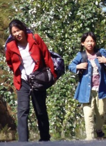 韩国在线一区
